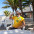 VITOR