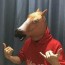 Foto do perfil de Pervert Horse
