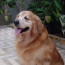 Foto do perfil de edmir