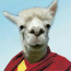 Foto do perfil de Dalai Lhama