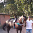 Foto do perfil de Carlos Alexandre