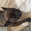 Foto do perfil de Fabr�cio Shelby