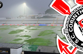 Olha como est o gramado para Ponte Preta x Corinthians no Moiss Lucarelli