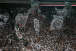 Corinthians chega a quase nove mil torcedores no Setor Norte da Neo Qumica Arena; clube quer mais
