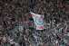 Corinthians divulga venda de ingressos para partida contra o Racing pela Sul-Americana; saiba tudo